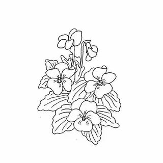 drawings of african violets - Google Search Tattoos Pinteres