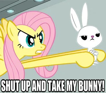 SHUT UP AND TAKE MY BUNNY! My Little Pony: Friendship is Mag