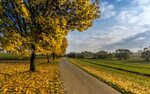 Wallpaper Autumn, trees, yellow maple leaves, road, fields 5