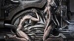 Zbrush tutorial hr giger tribute youtube