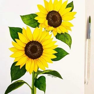 이미지: 꽃 Sunflower painting, Flower drawing, Sunflower art