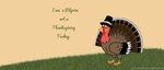 I Am A Pilgrim, Not A Thanksgiving Turkey Wallpapers Holiday