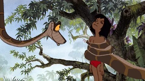 Furaffinity Mowgli And Kaa / Animation Collection: Original 