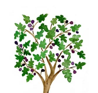 plum tree clipart - Clip Art Library
