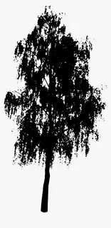 Transparent Birch Tree Png - Tree Vector Black Png, Png Down