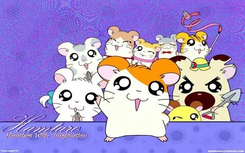 kawaii hamster.