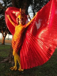The Phoenix Costume Process Phoenix costume, Bird costume, F