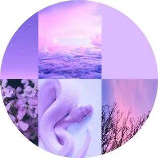 Lilac Aesthetic posted by Sarah Tremblay