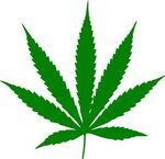 Marijuana Leaf - (2000x2133) Png Clipart Download
