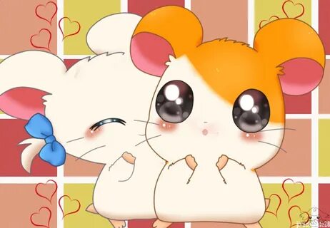 Browse Art Hamtaro, Cute drawing images, Anime toon