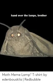 🐣 25+ Best Memes About Moth Meme Lamp Moth Meme Lamp Memes