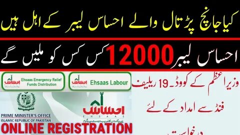 How to apply for Ehsaas labour Ehsaas labour Web portal PMO 