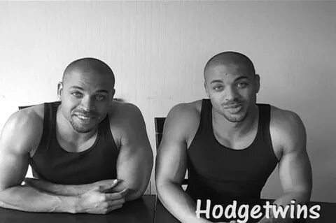 Mechadude2001: Hodge Twins