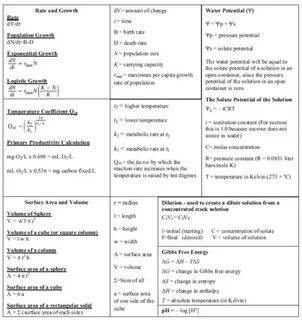 Ap Biology Equation Sheet - Tessshebaylo