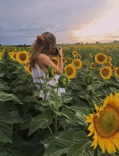 Aesthetic sunflower. @valvitanzalima #aesthetic #sunflower #