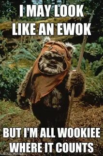 Ewoks are so cute Star wars love quotes, Star wars love, Sta