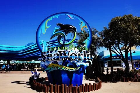 InSanity lurks Inside: Photo Review- Seaworld San Diego