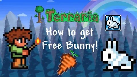 How To Get Free Bunny Pet, No Collector's Edition! Still Wor