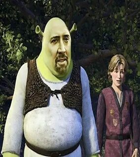 Nicolas Cage as Shrek. Nicolas cage, Nicholas cage face, Fam