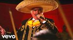 Hermoso Cariño- Lyrics Meaning in English - Vicente Fernánde