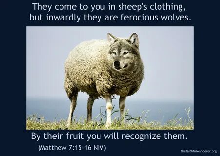 85+ A Wolf In Sheeps Clothing Quotes Schlagendesherz