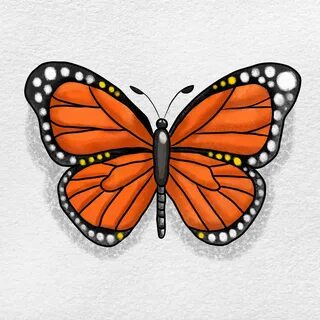 Monarch Butterfly Drawing - HelloArtsy