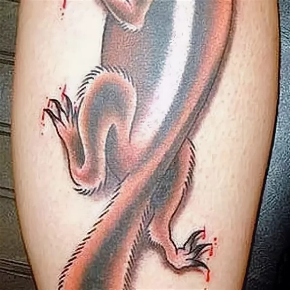 Photo of a squirrel tattoo: examples of interesting ready-ma