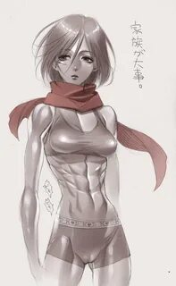 Mikasa Ackerman - Attack on Titan - Image #1549306 - Zerocha