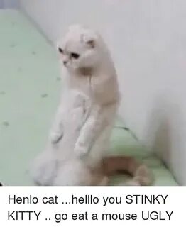 Henlo Cat Helllo You STINKY KITTY Go Eat a Mouse UGLY Mouse 