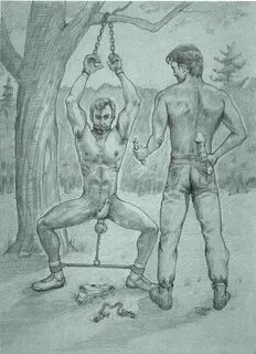 Gay Bondage Drawings - Great Porn site without registration