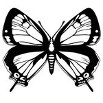 Free Monarch Butterfly Tattoo Black And White, Download Free