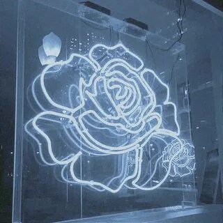White rose Neon aesthetic Black and gold aesthetic, Neon aes