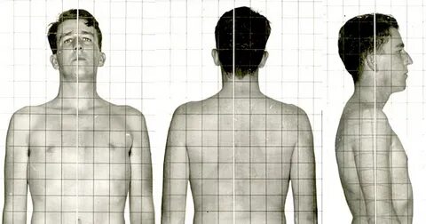 Uniformes et Stereotypes: US Navy: morphotypes, somatotypes