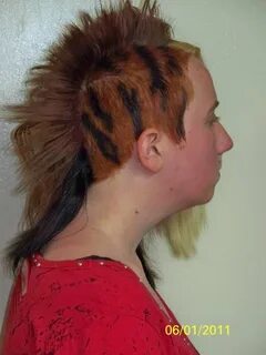 Hair Color - Tiger Stripes Tiger stripes hair, Punk hair, Pr