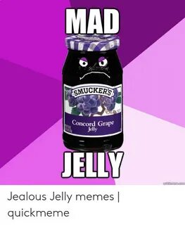 🐣 25+ Best Memes About Jelly Meme Jelly Memes