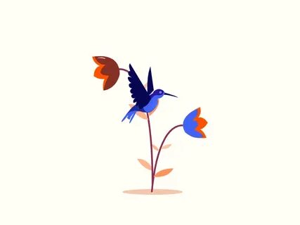 Nectar Bird Motion design animation, Animation design, Vecto