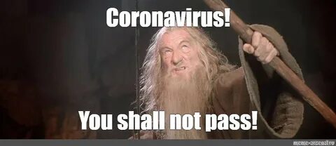 Meme: "Coronavirus! You shall not pass!" - All Templates - M