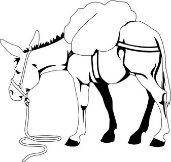 Donkey clipart outline, Donkey outline Transparent FREE for 