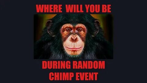 Random Chimp Event Found Footage - YouTube