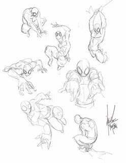 SpiderMan Drawing Reference and Sketches for Artists