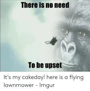 🐣 25+ Best Memes About Flying Lawnmower Flying Lawnmower Mem