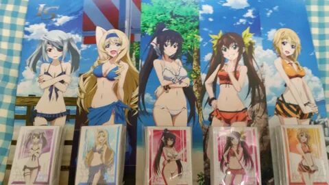 C84 Infinite Stratos playmat and sleeves Dragoncapypara's In