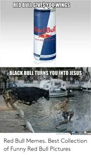 🐣 25+ Best Memes About Red Bull Meme Red Bull Memes