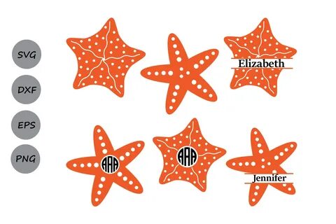 Starfish clipart svg, Starfish svg Transparent FREE for down