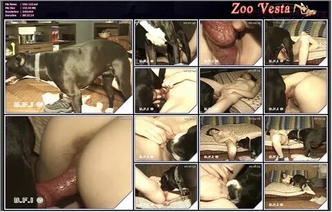 Dogs and Girls - Beast Porn Collection!