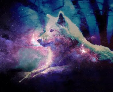 Galaxy Cute Wolf Drawings Wallpapers Wallpapers - Most Popul