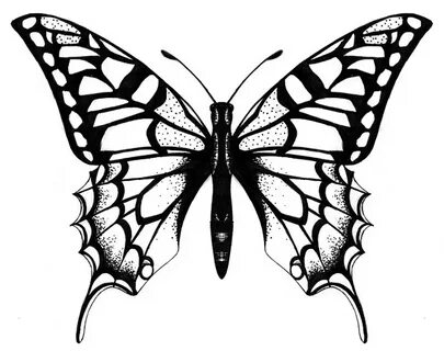 Бабочка эскиз татуировки + фото