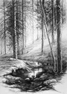 forest interior by hipiz on DeviantArt Landscape pencil draw