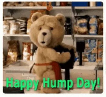 Hump Day Happy GIF - Hump Day Happy Wednesday - Discover & S