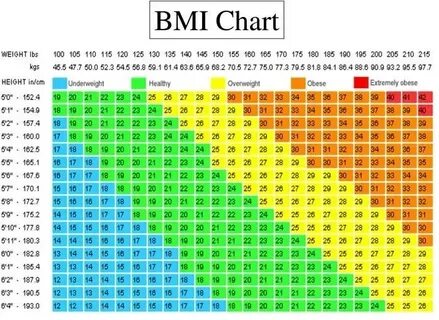 Python Project For Kids: Python BMI Calculator Coding for Ki